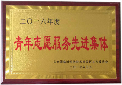 青年志愿服務(wù)先進集體